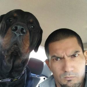 Meet your Posher, Albert